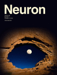 Image of cover of Neuron journal