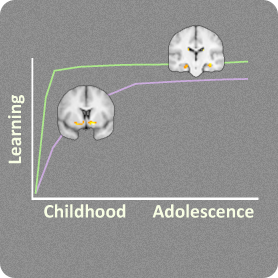 graph with mri images 