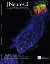 JNeuro Cover