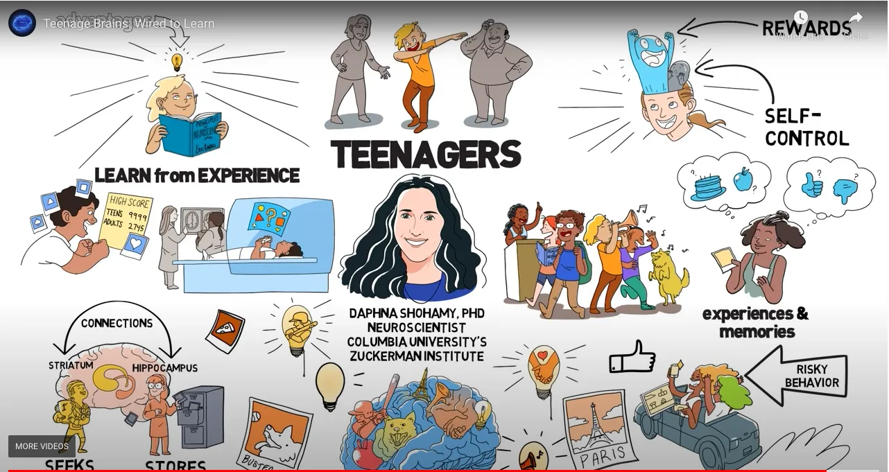 teen brains video