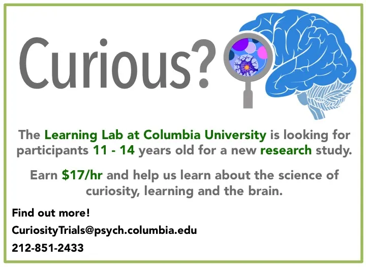 Curiosity Flyer